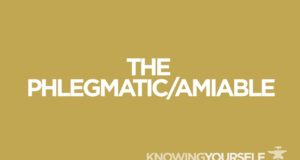 The Phlegmatic/Amiable