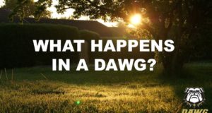 Don’t Miss Your Appointment