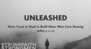Unleashed