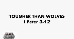 Running With The Wolves Part 2 : Tougher Than Wolves