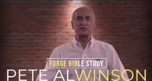 From The DAWGHOUSE | Short & Sweet