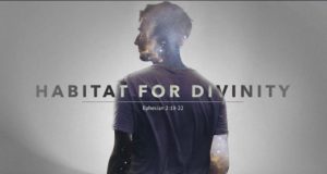 Habitat for Divinity