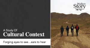 Walking with the Shepherd